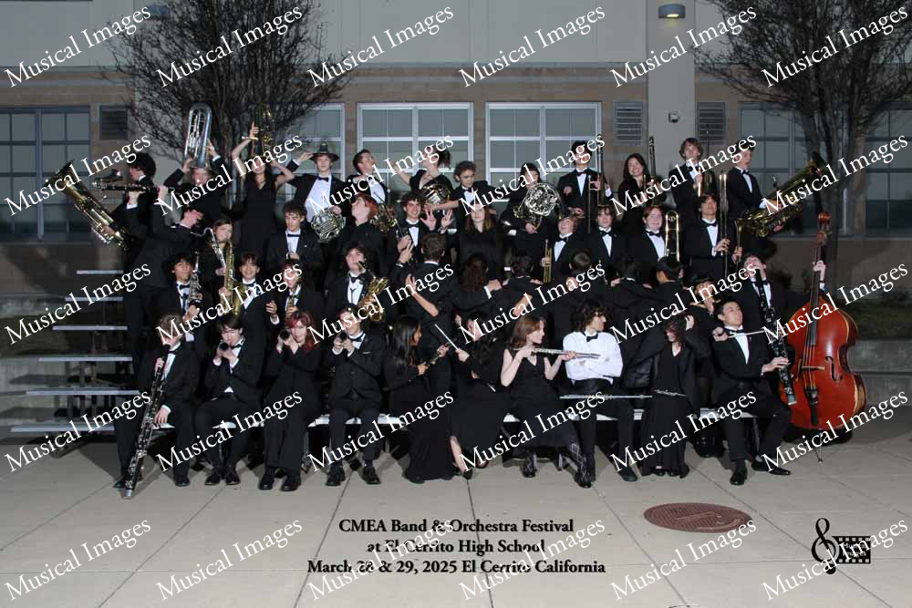 Musical Images